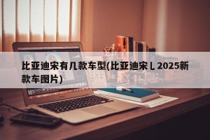 比亚迪宋有几款车型(比亚迪宋乚2025新款车图片)