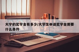 大学的奖学金有多少/大学生申请奖学金需要什么条件