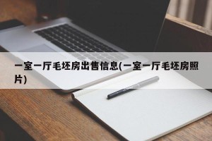 一室一厅毛坯房出售信息(一室一厅毛坯房照片)